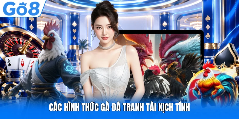 Các hình thức gà đá tranh tài kịch tính Các hình thức gà đá tranh tài kịch tính